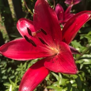 Meet your Posher, Katherine